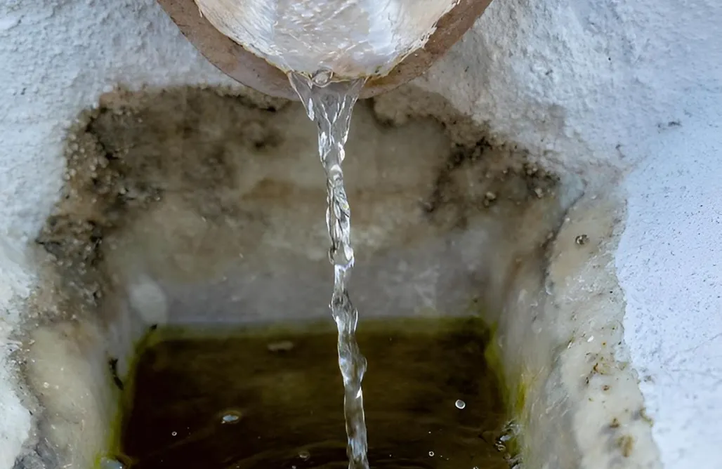 alojamientos AlohaCamp Casa Pedriza 1