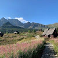 Krzysztof użytkownik