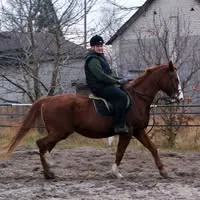 Jarek používateľ