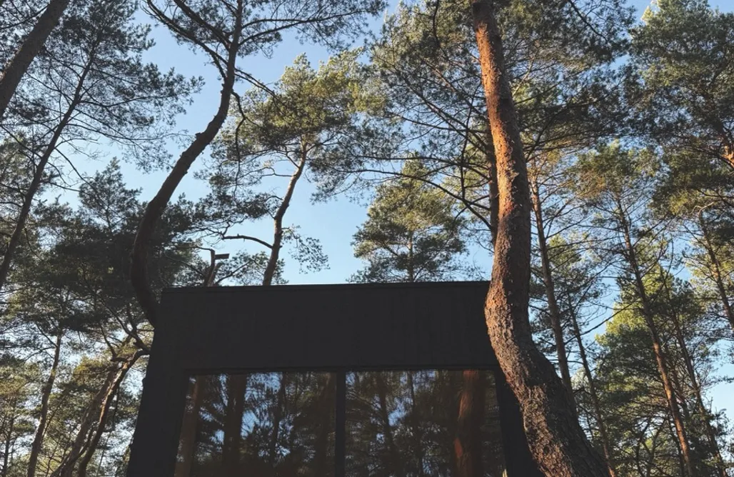 AlohaCamp Forrest Tower 2 z Leśnym SPA -sauną i wanną 1