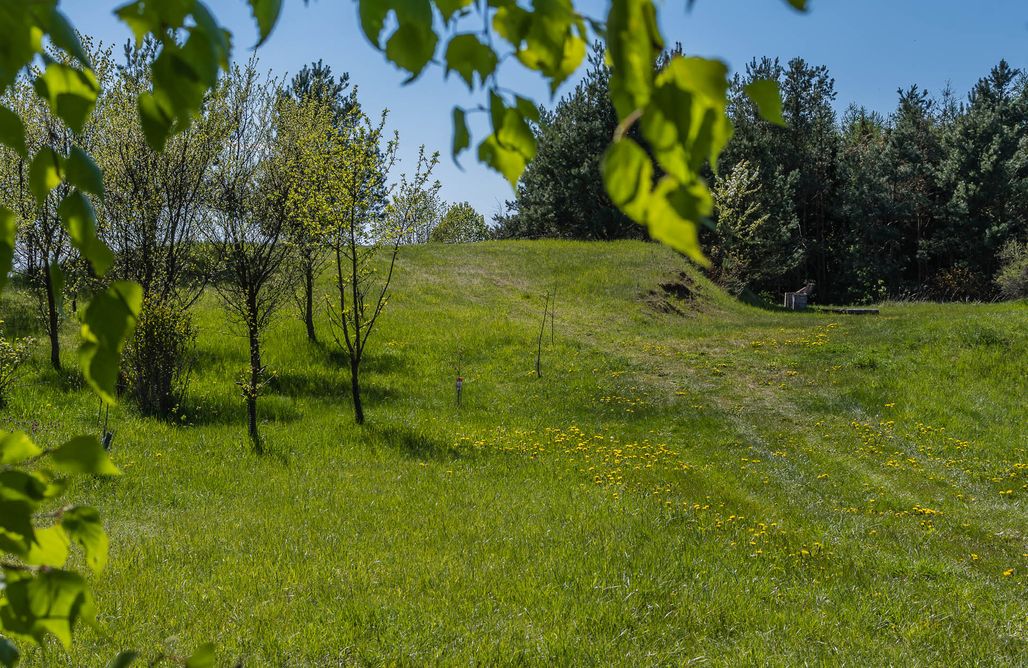 noclegi AlohaCamp Camp Site - Siedlisko Pili Pili 3