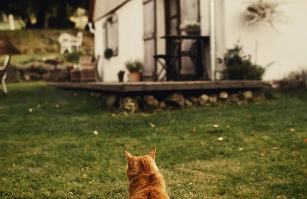 AlohaCamp Apartament Kominkowy 1