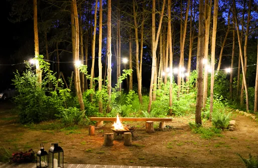 Zdjęcie obiektu Paprotka - dom i las