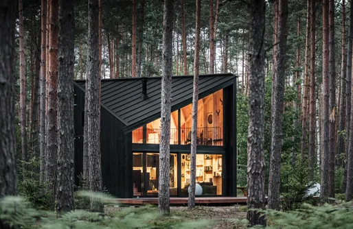 Zdjęcie obiektu boroteka