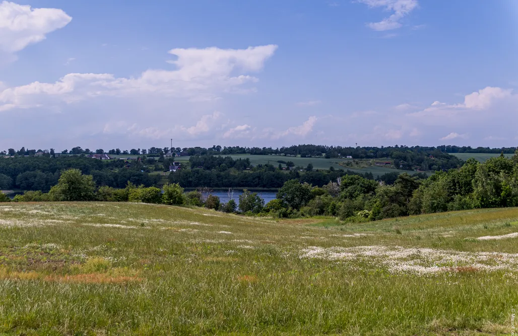 Camping Poland Miejsce kamperowe - Winnica Pod Jabłonią 3