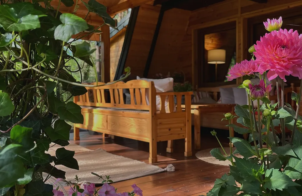 noclegi AlohaCamp Domek w ptasim gaju 4