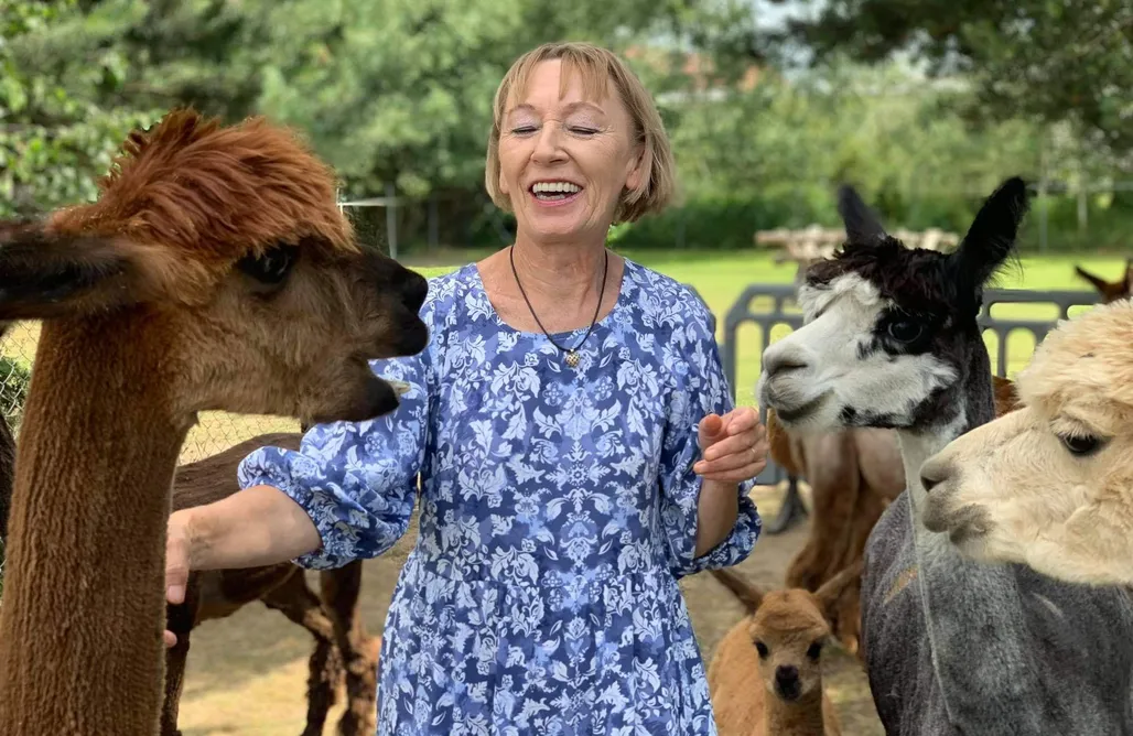 Agroturystyka Alpaka Pomorze AlohaCamp