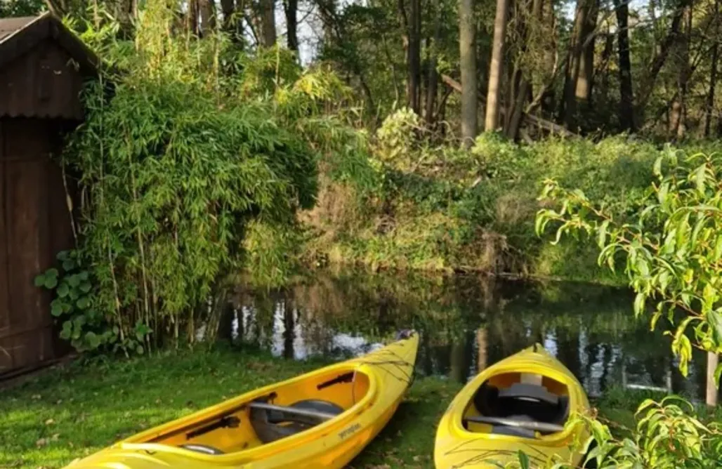 AlohaCamp accommodation Ferienhaus mit  Terrasse in der Mitte der Natur 4