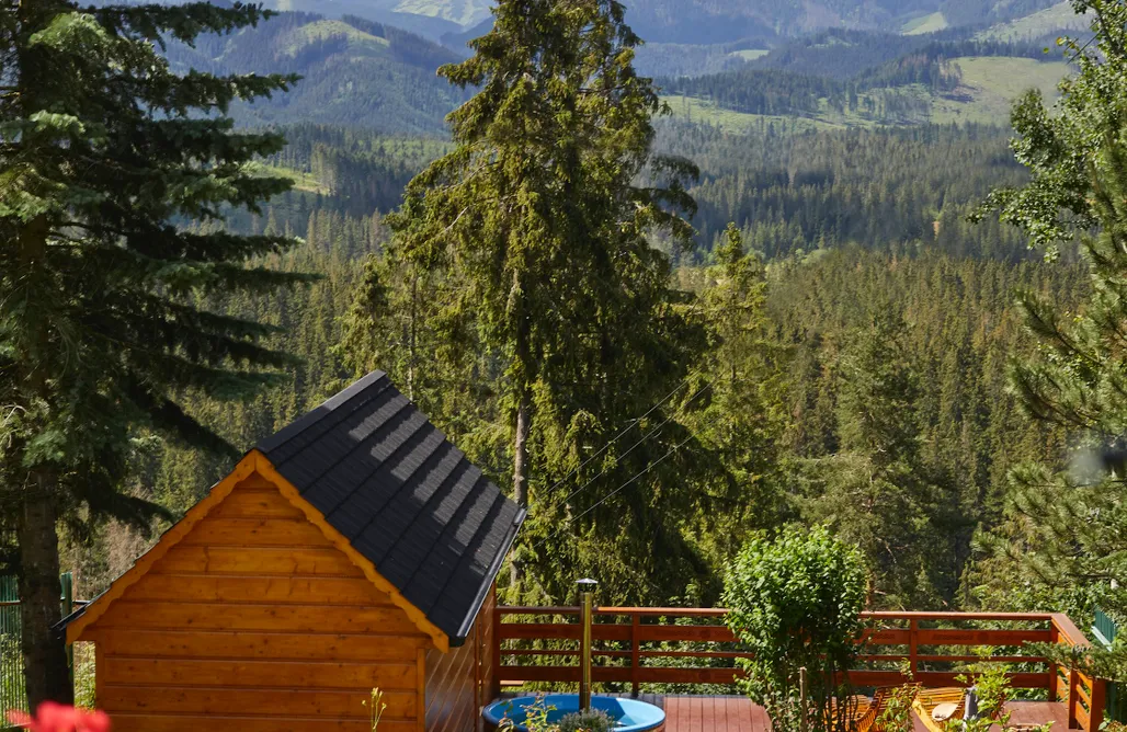 Zakopane Noclegi z Wyżywieniem Witkówka Luxury Sauna&SPA - Domek Alpejski New Folk 3