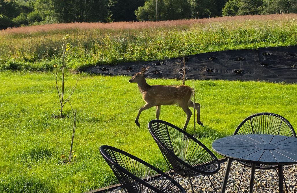 noclegi AlohaCamp Jelenie Brdy 4