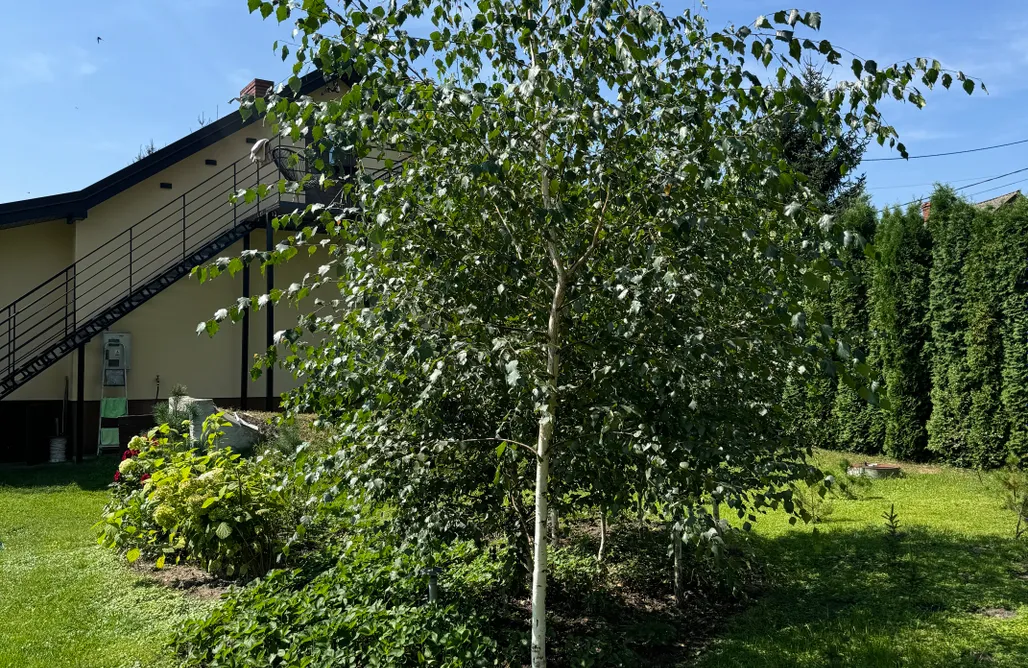 Agroturystyka Zwierzyniec Zakątek Kołowrót  3