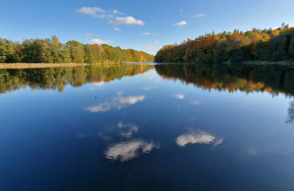 noclegi AlohaCamp Rezerwat 1