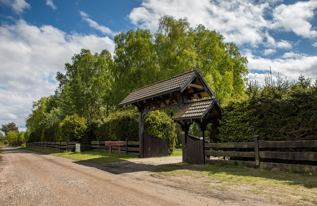 Borne noclegi Ptasi Dom 3