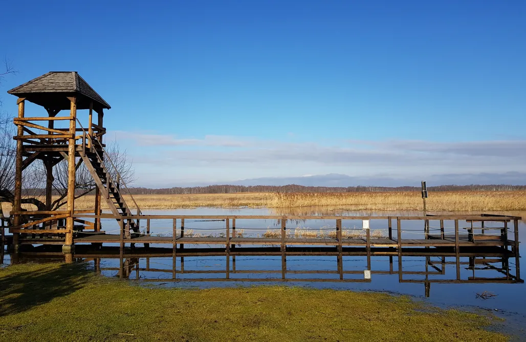 Pole Namiotowe Mazury Miejsce kamperowe i namiotowe - Dolina Biebrzy Gospodarstwo Agroturystyczne 1