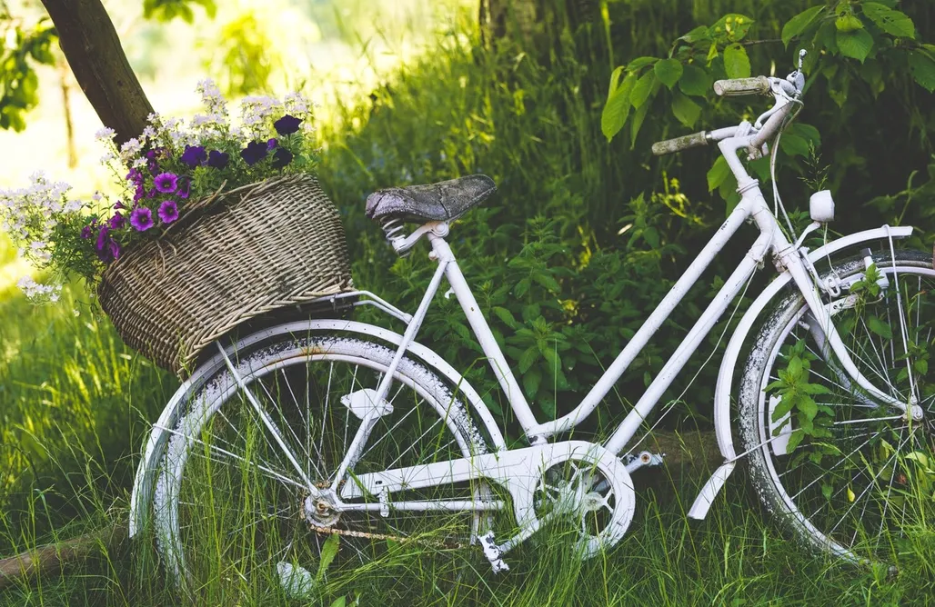 Agroturystyka Jelenia Góra Agrohippika 1