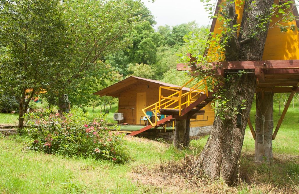 AlohaCamp El Cerezo 4