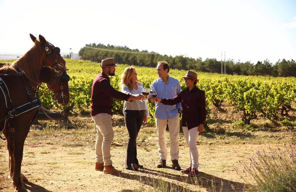 Campings Murcia Enoturismo Ecuestre 1