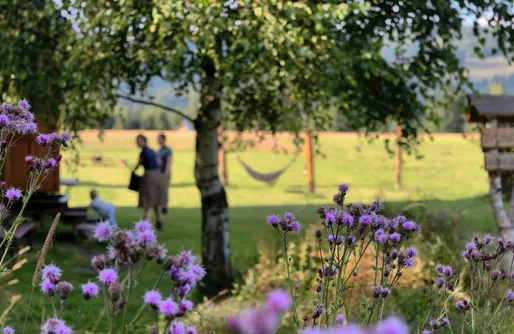 Zdjęcie obiektu Szałas na szlaku