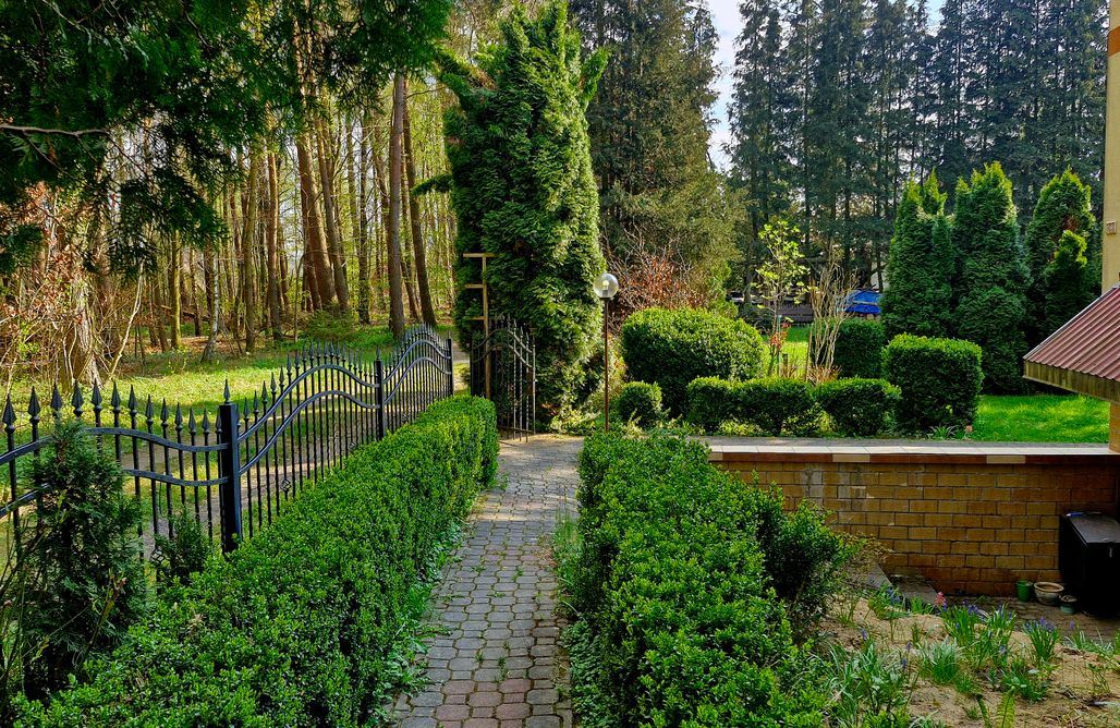 noclegi AlohaCamp Domek na Kaszubach nad jeziorem 5