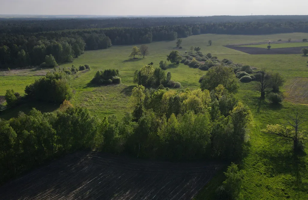 AlohaCamp Brzozowa Polanka 1