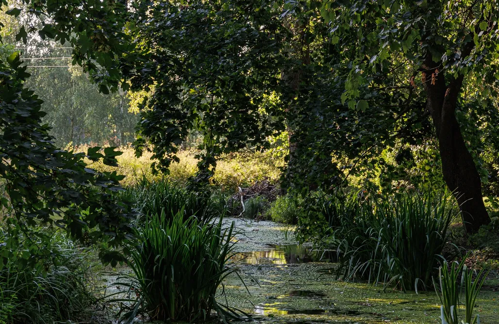 Agroturystyka Zwierzyniec Dwór Udrycze 3