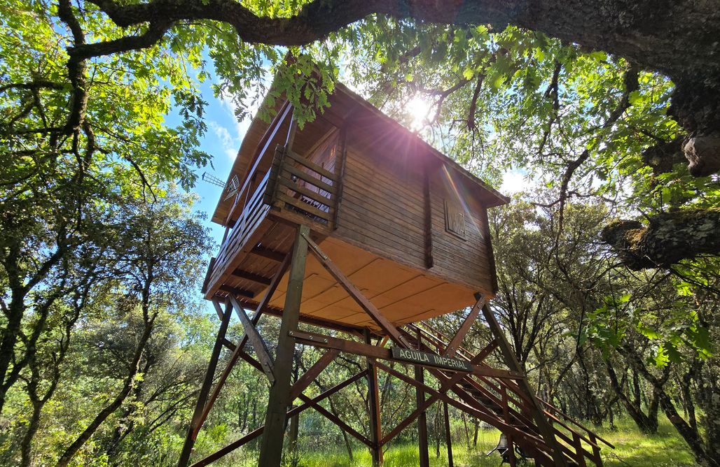 AlohaCamp Cabaña AGUILA IMPERIAL 1