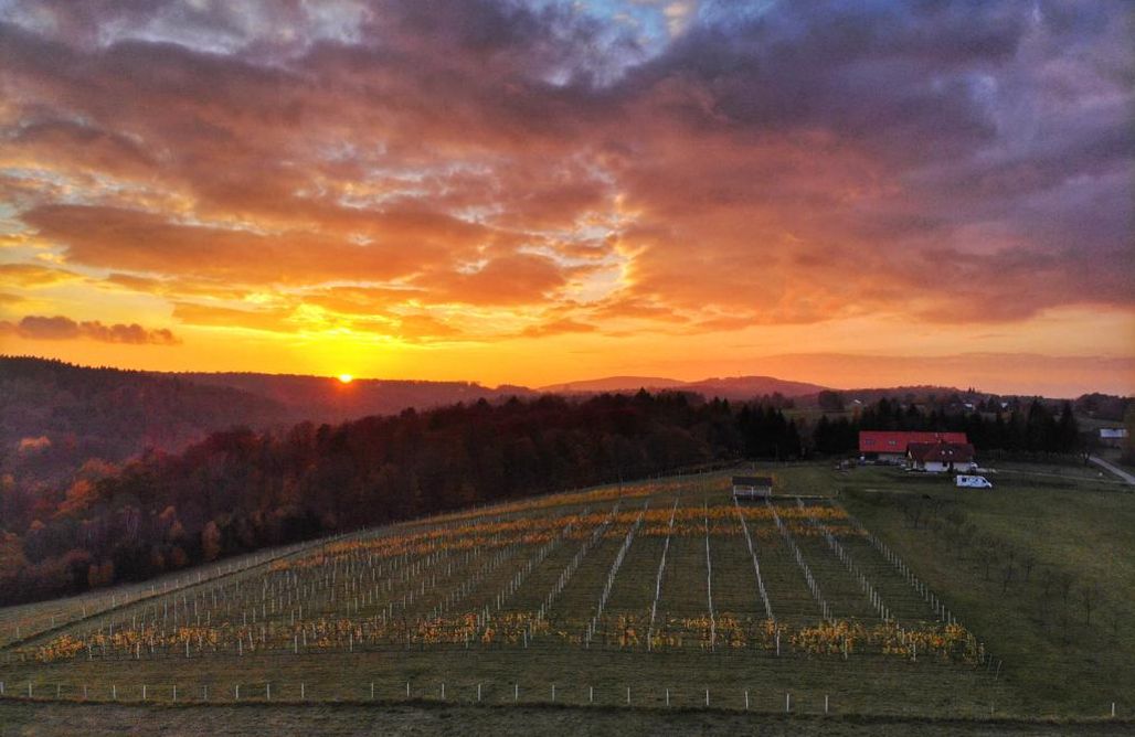 Pole Namiotowe Zakopane Winnica Sztukówka 2