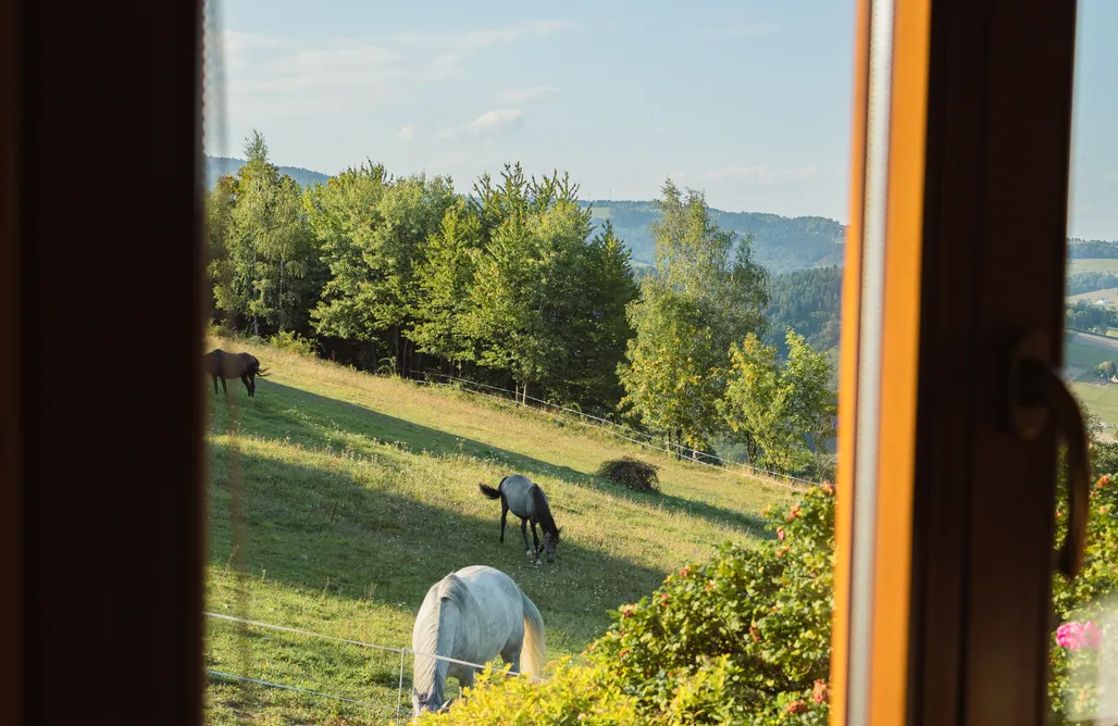 alojamientos AlohaCamp Ranczo na Załpie | Domek 4-6 osobowy  5