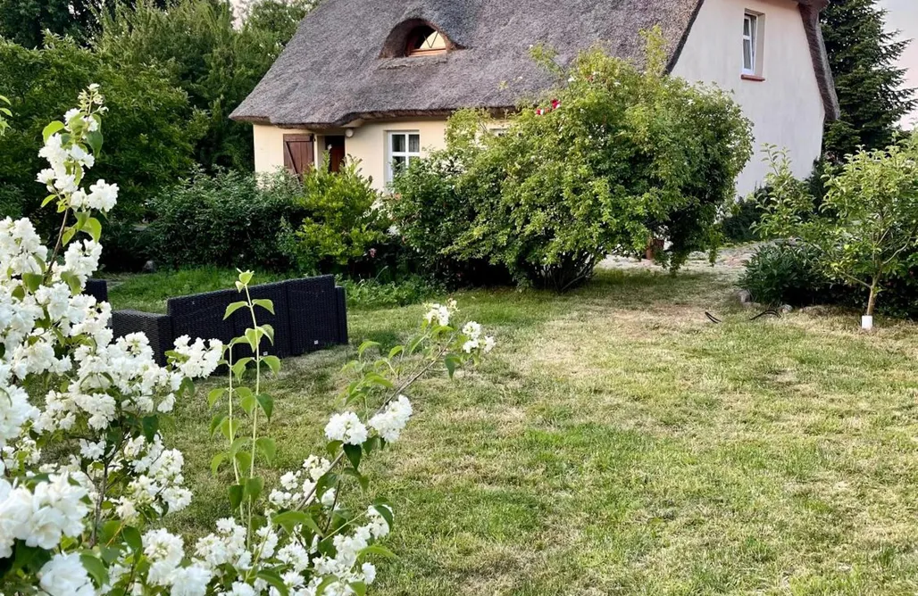 Pole Namiotowe Grzybowo Oaza pod strzechą  3