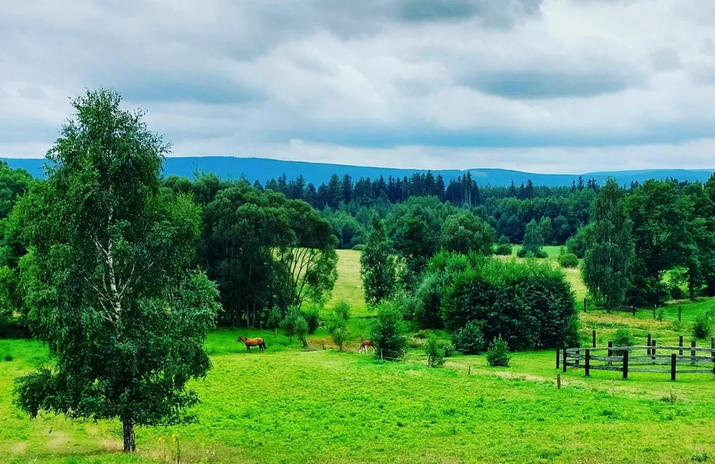 Maja Pokoje z Widokiem AlohaCamp