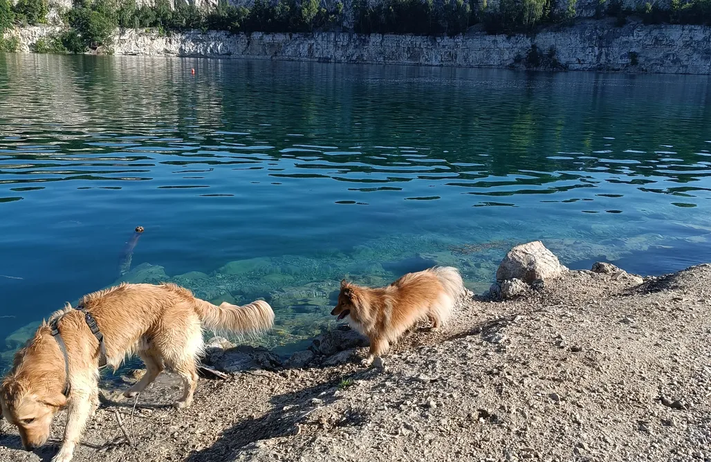 AlohaCamp Green corner 1