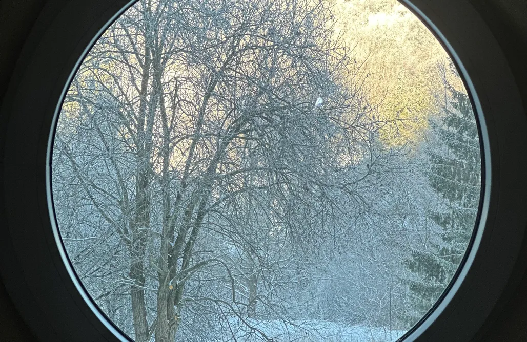 AlohaCamp Dom Rzeźbiarza na wyłączność  1