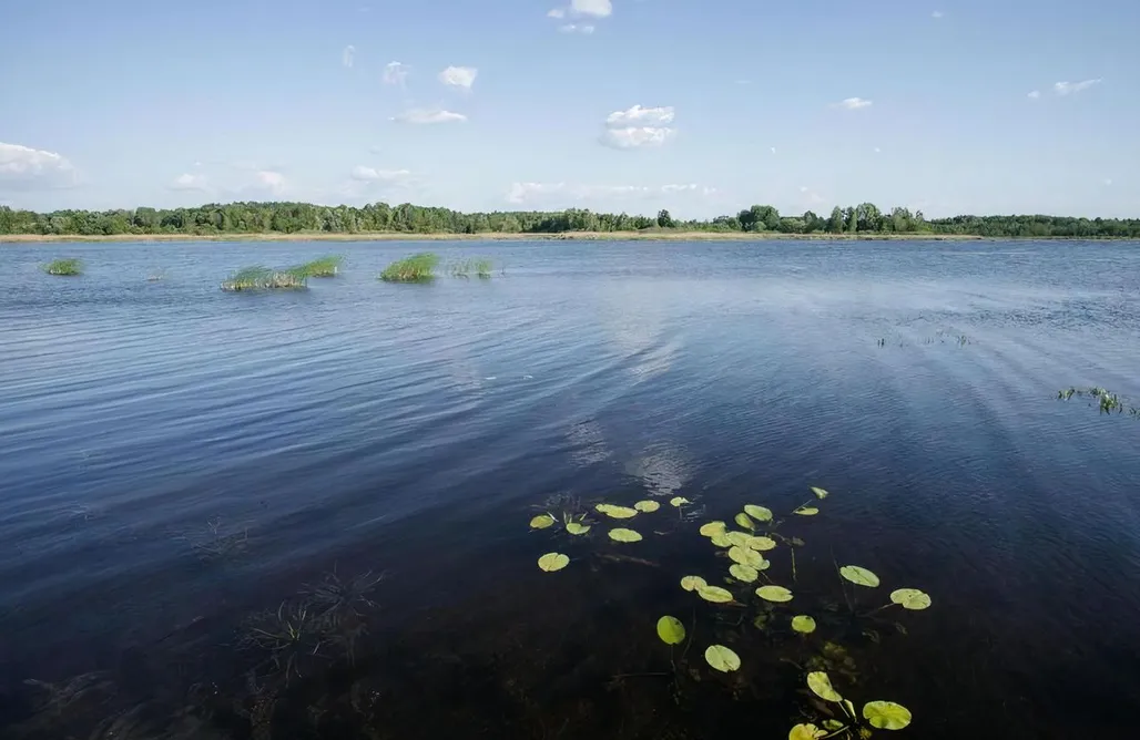 Bogusze noclegi Agroturystyka Golubie 1