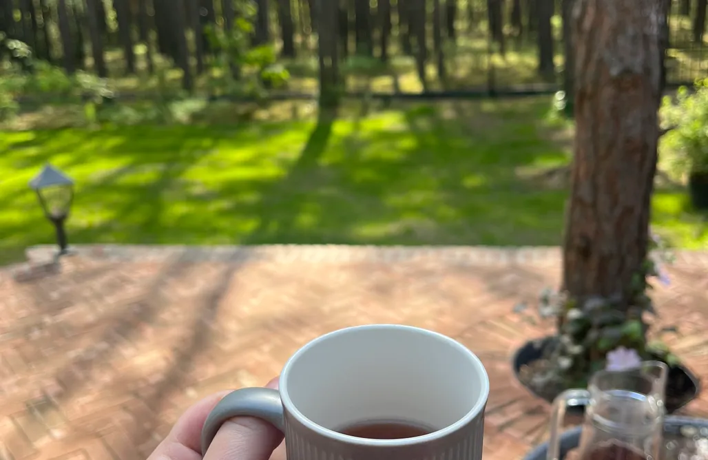 Hébergement AlohaCamp Domek Leśny Poranek 1