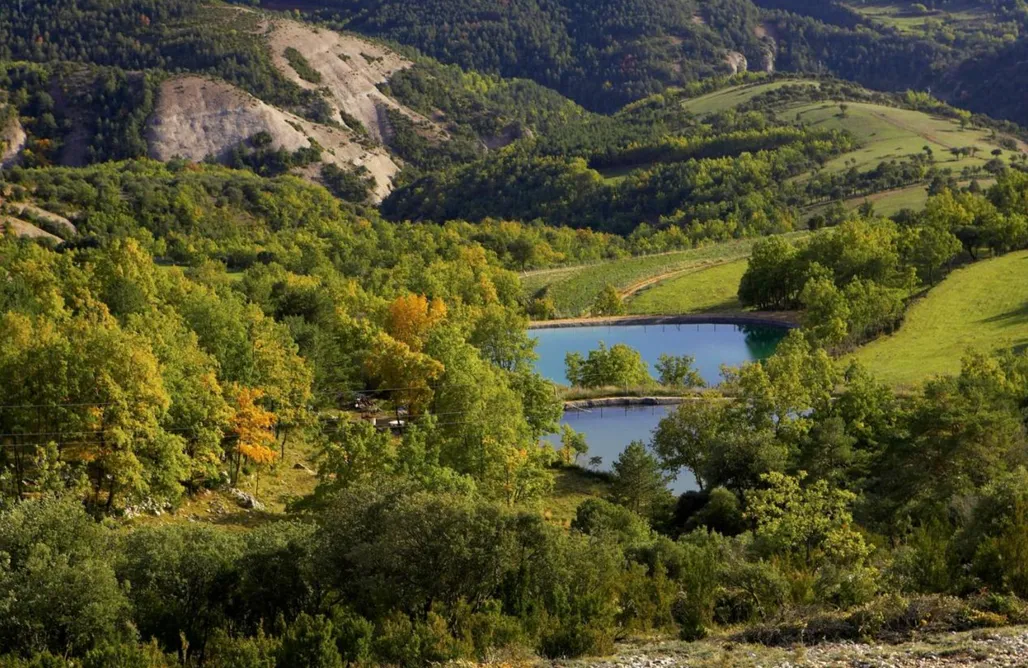 Masia La Fusteria  AlohaCamp