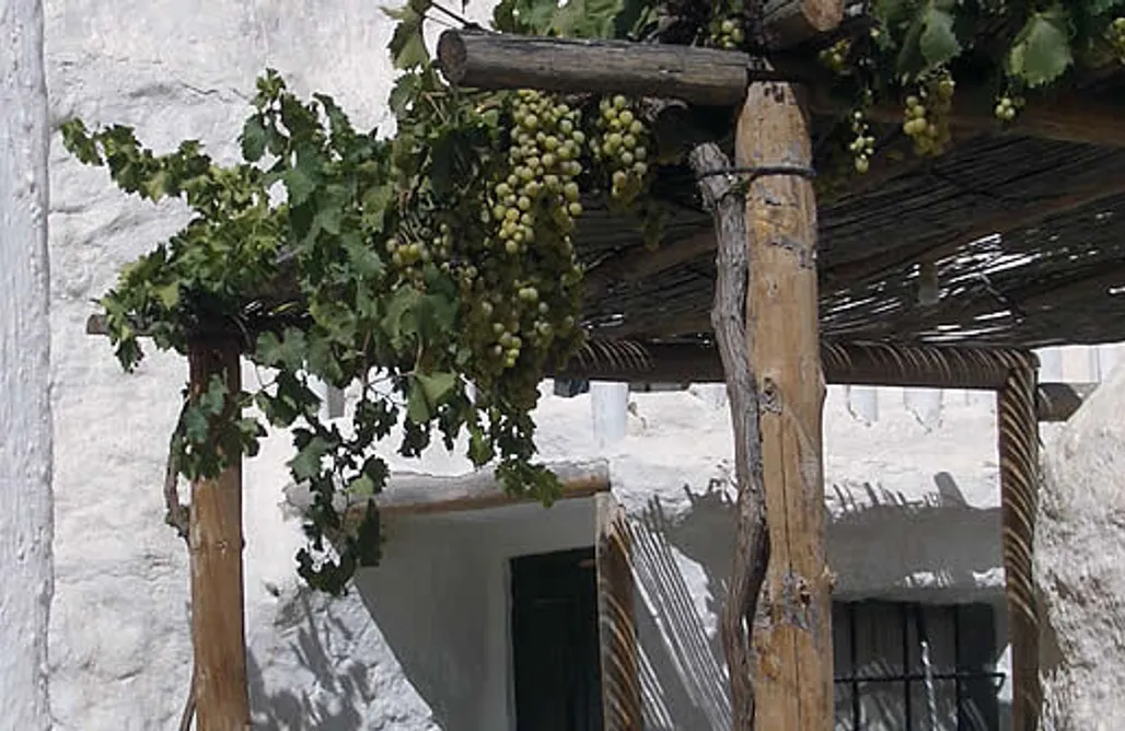 AlohaCamp Cueva 5  2