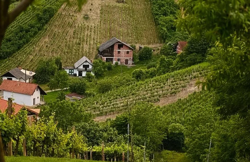 Unterkunft AlohaCamp Golden Pinpoint 3