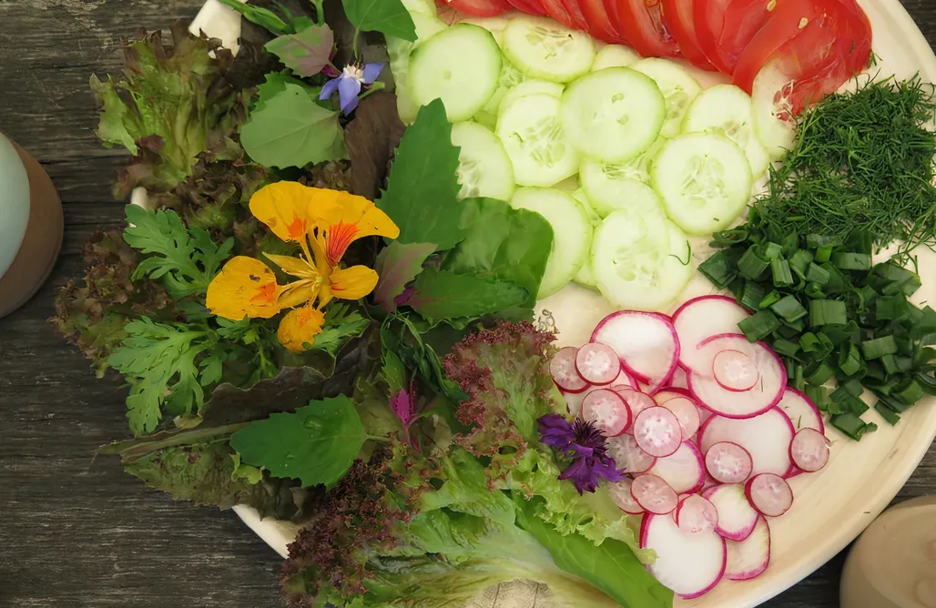 AlohaCamp Pokój 2 os. – Pokój typu twin z widokiem na góry - 006 1