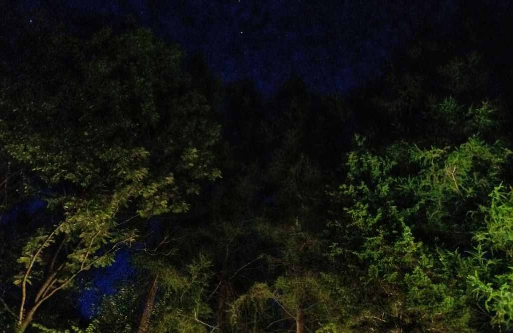 Wild Eye Glamping Beskidy AlohaCamp