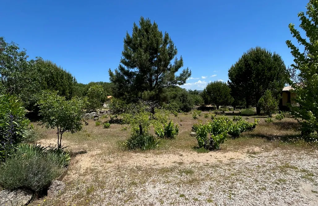 Alloggi AlohaCamp Rural Las Viñas Casa Naranja  1