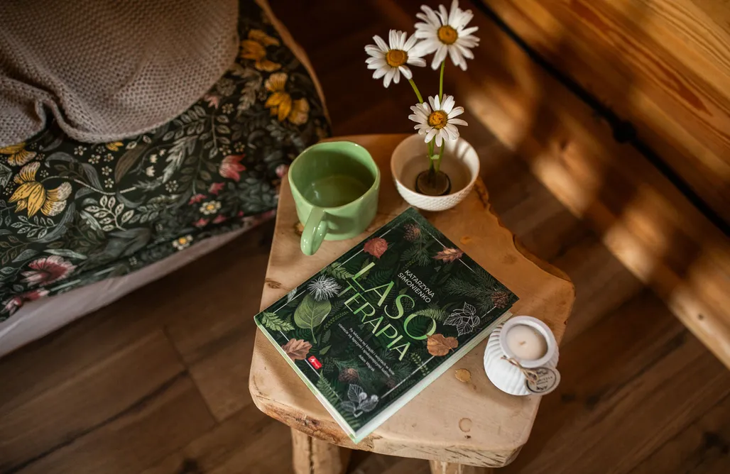 AlohaCamp Głuszecki las - domek 2 2