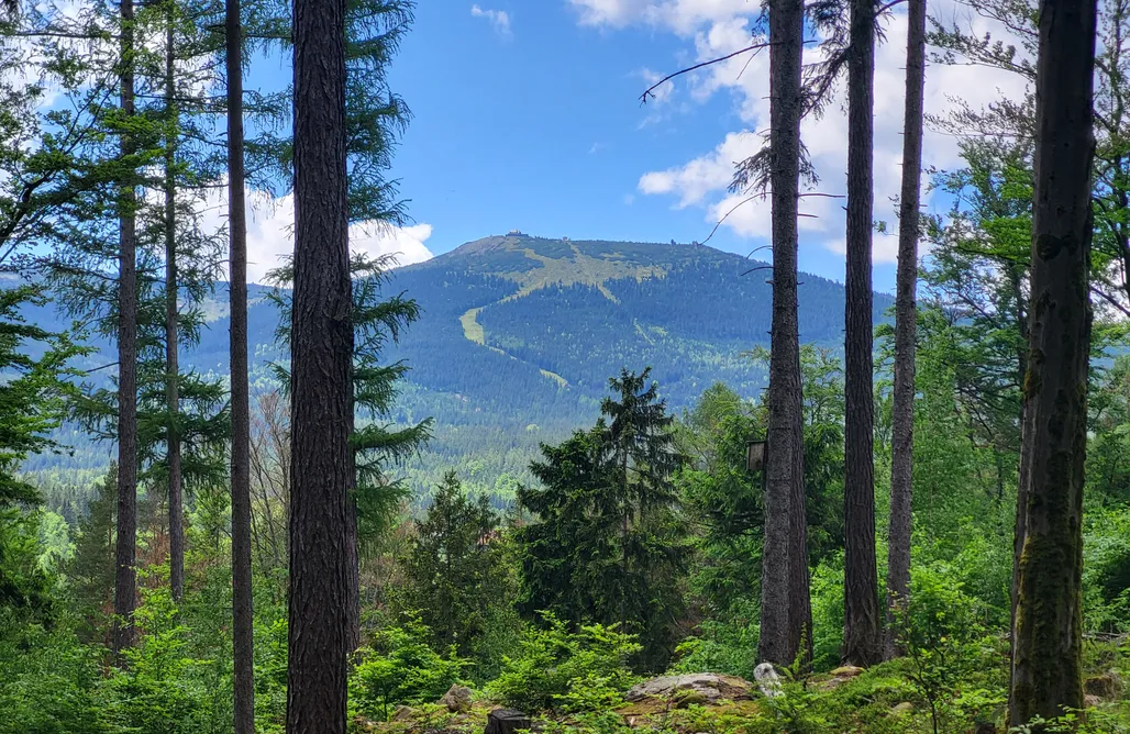 noclegi AlohaCamp Okno Na Karkonosze 5