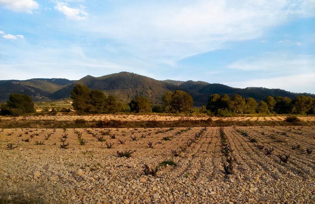 alojamientos AlohaCamp Casa Rural El Carmen de la Sierra 1