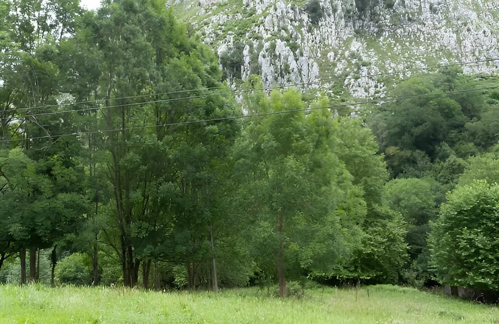 Casa La Molinera a tan solo 8 km de Liérganes AlohaCamp