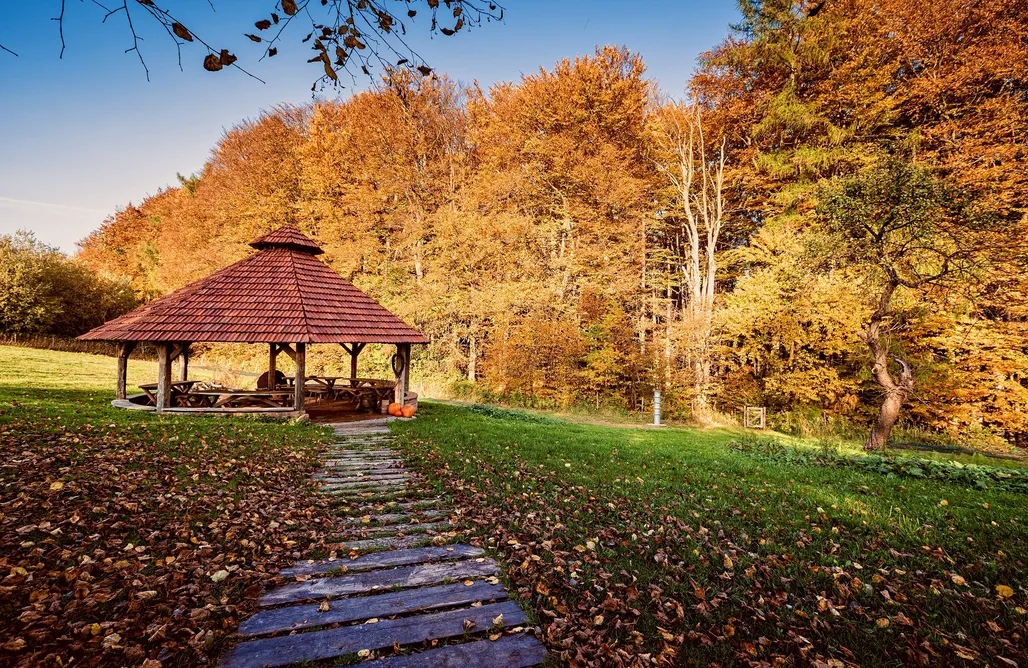 noclegi AlohaCamp Domy na drzewach - Stara Kuźnia Pstrągownia 1