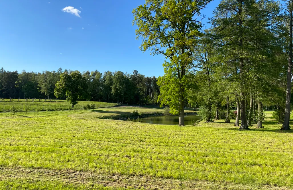 Domki Wielkopolskie Cisza & Spokój 1