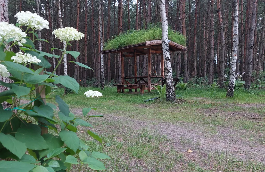 AlohaCamp Stary Spichlerz nad Wartą (Mała Hobbitówka) 1