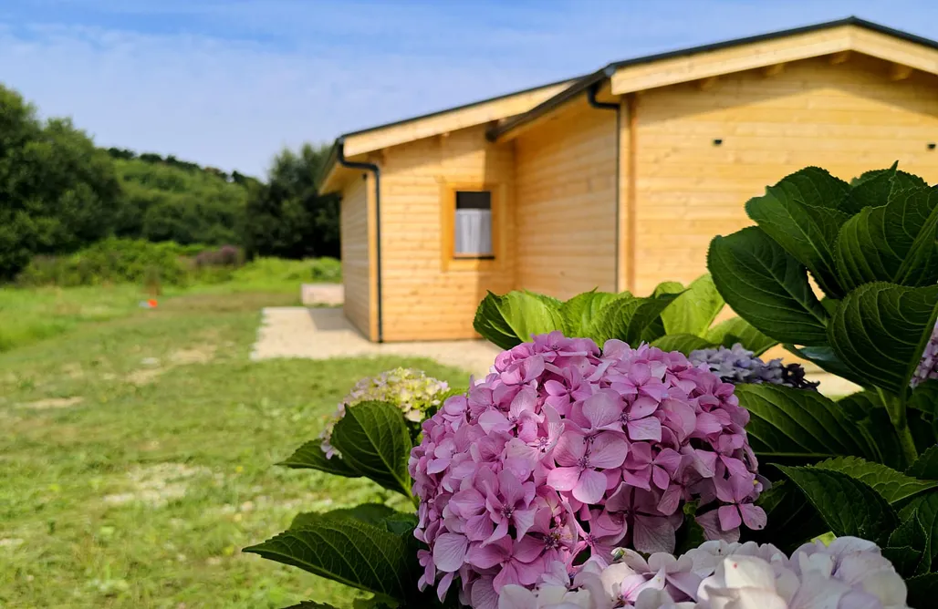 Alojamiento en Quirós Mar y Madera 3