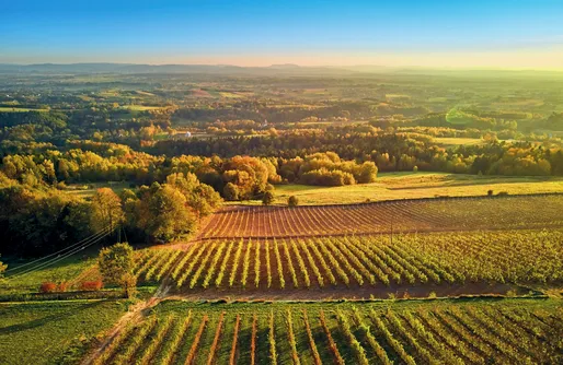 Zdjęcie obiektu Miejsce kamperowe - Winnica Widokowa