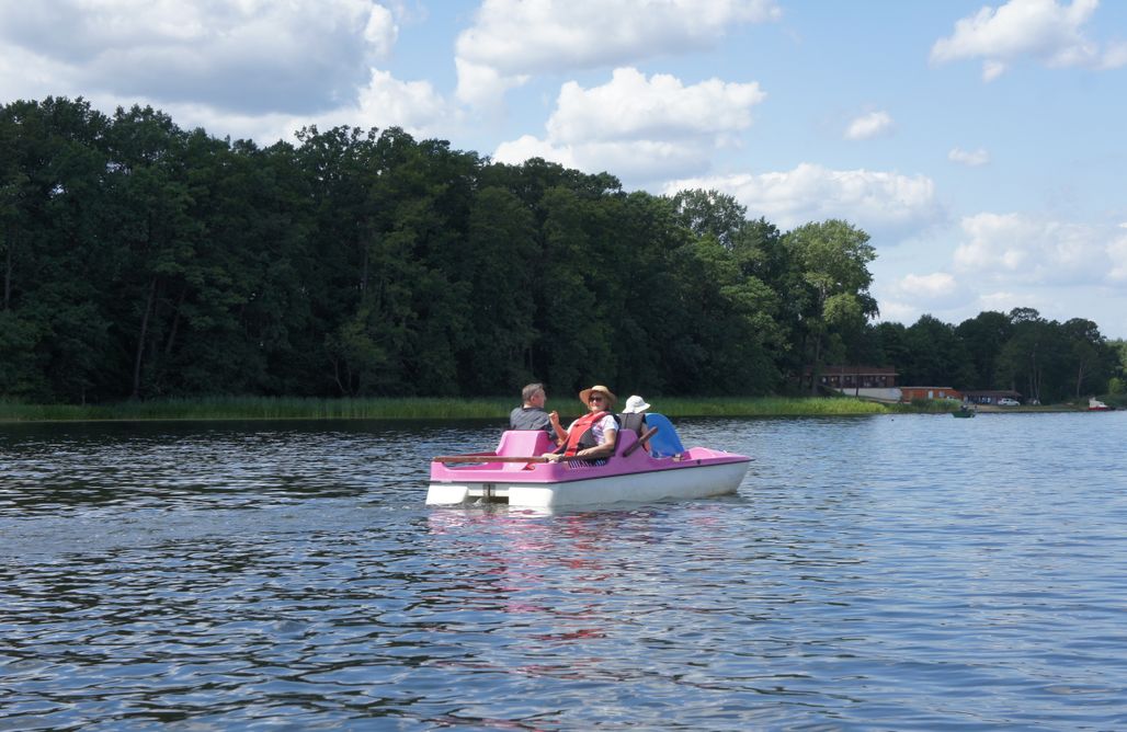 AlohaCamp Miejscówka 2 - Domek w drzewach 1